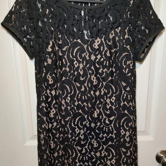 AnnTaylor Loft Size 6 Elegant Dress Women New Years Eve Black Lace Nude Underlay - Picture 1 of 9